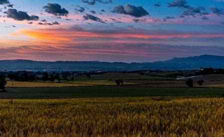 El floccus del paisaje