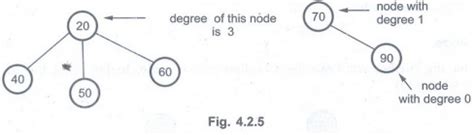 Basic Terminologies in Trees - ADT Data Structure