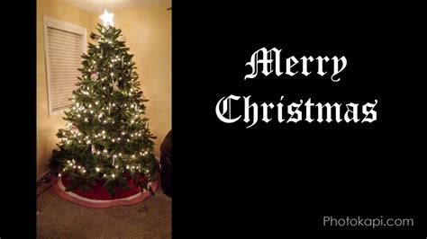 Christmas Tree Time-Lapse 的图像结果