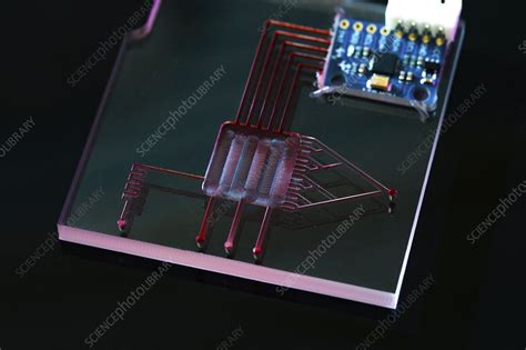 Image result for Lab On a Chip Outer Space