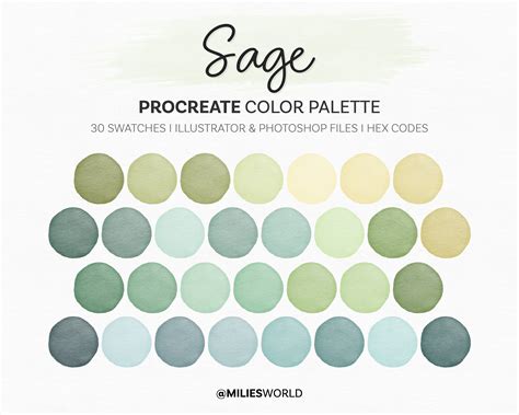 Sage Color Palette Valorant at Brittany Molina blog