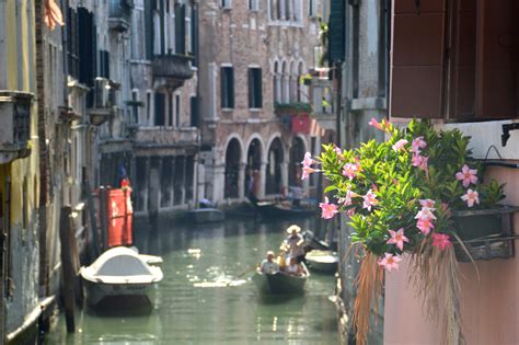 architecture, summer, nature, gondola - traditional boat, plant, venice ...