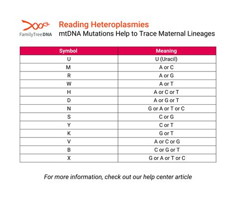 Image result for Example of mtDNA