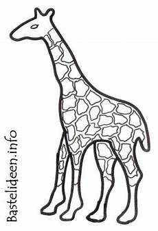 malvorlagen giraffen bastelvorlage giraffe 1045 malvorlage giraffe ausmalbilder malvorlagen giraffen bastelvorlage giraffe 1045 malvorlage giraffe ausmalbilder