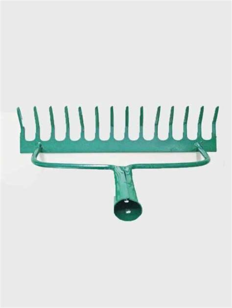 Best Online Plant Shop in Dubai | Plant Shop UAE | Plant Shop Abudhabi