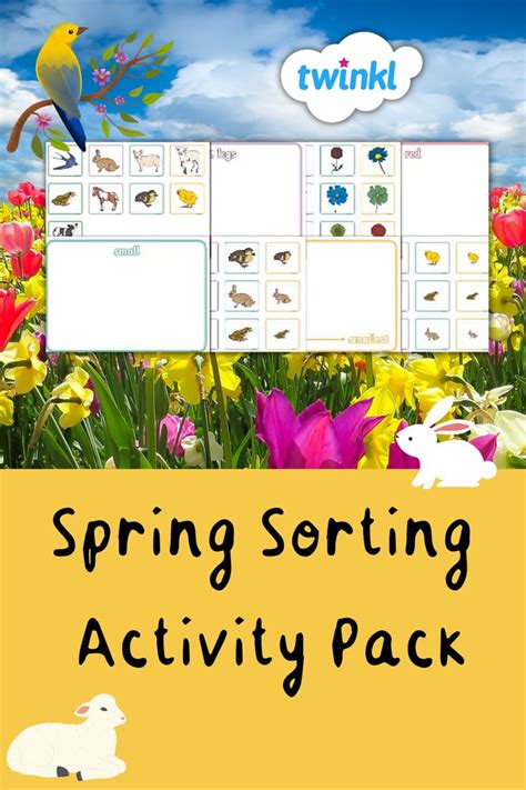Image result for Sorting through Spring