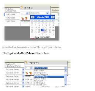 Image result for VB.NET Data View Filter