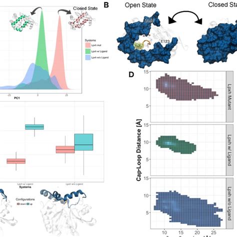 Image result for Molecular Dynamics RMSD Graph