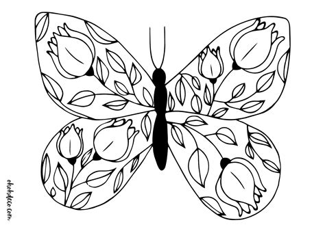 Image result for Butterfly Coloring
