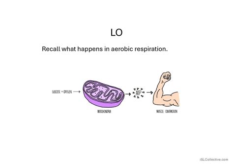 COMBUSTION PART 2 OF AEROBIC RESPIRA…: English ESL powerpoints
