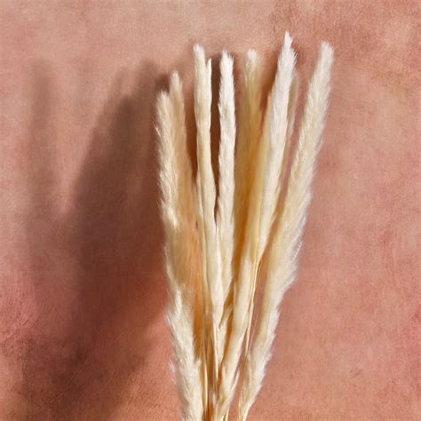 Cloudcrest - Eternal Bloom Bundle – OliveHomeAccents