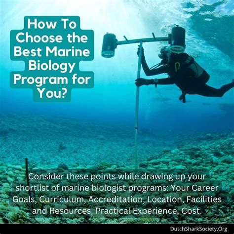 What Is A Marine Biologist Work Schedule at David Dodd blog