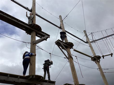 Image result for Amadeus Compass School Program Instruments