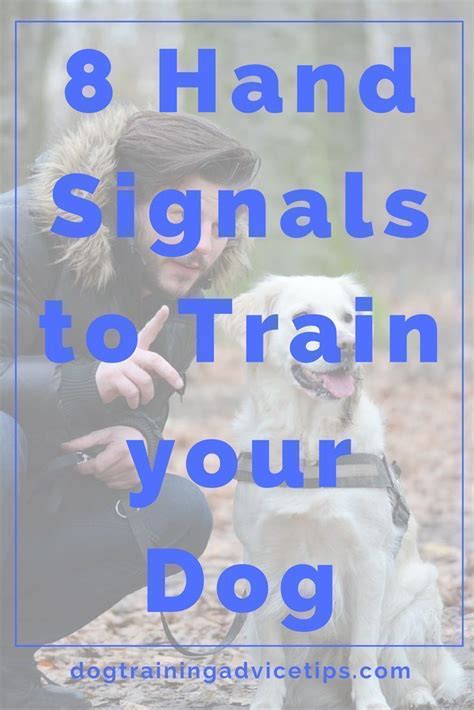 Image result for Hand Signs for Dogs
