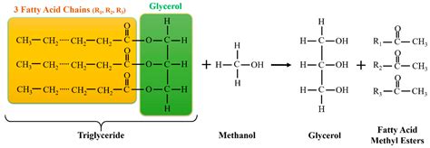 A Review on Catalysts Development for Steam Reforming of Biodiesel ...