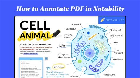 Image result for How to Draw On PDF File
