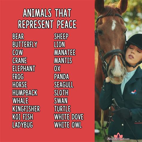 23 Animals That Represent Peace: Finding Solace in the Animal Kingdom ...