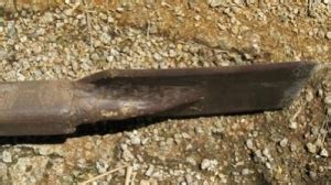 Tree Root Remover 的图像结果