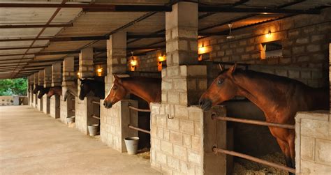 Embassy International Riding School - Lessons from Experts