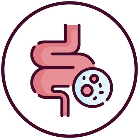 Probiotics Supplements Best for Maintaining Smooth Functioning of Gut ...