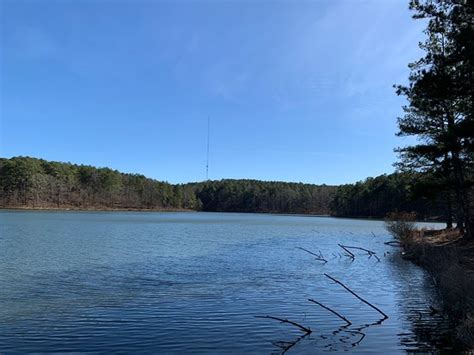 Tribble Mill Park (Lawrenceville) - 2021 What to Know Before You Go ...