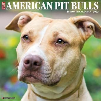 Buy Just American Pit Bull Terriers 2023 Wall Calendar Book Online at ...