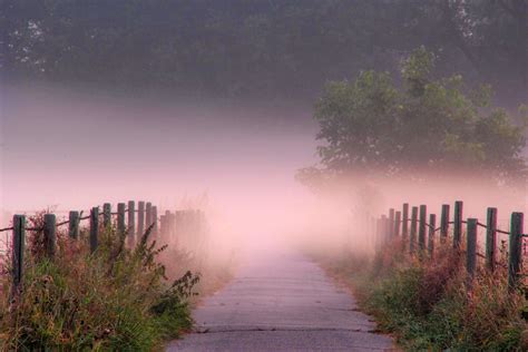 Purple fog and mist on the path image - Free stock photo - Public ...
