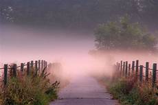 Free Picture by Purple Fog And Mist On The Path Image Free Stock Photo Free Picture