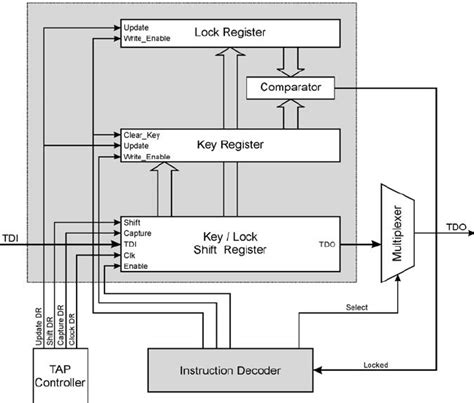 Image result for Phase of Locking Structure