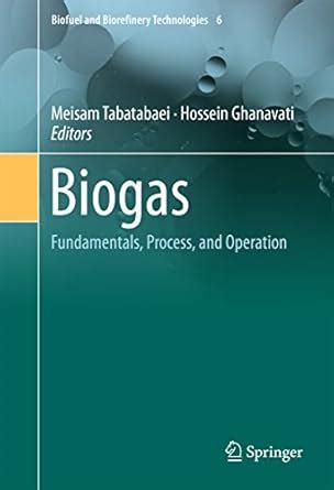 Biogas: Fundamentals, Process, and Operation (Biofuel and Biorefinery ...