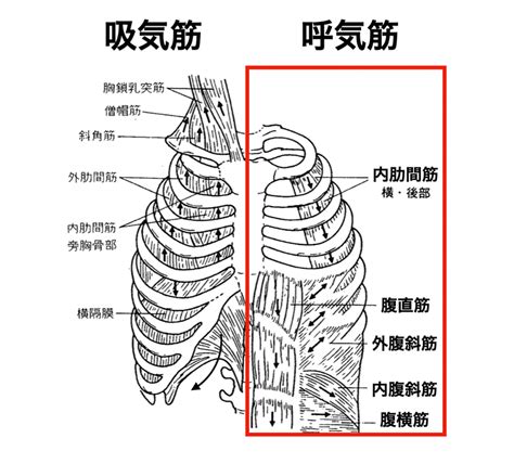 Image result for Structures of Pattern