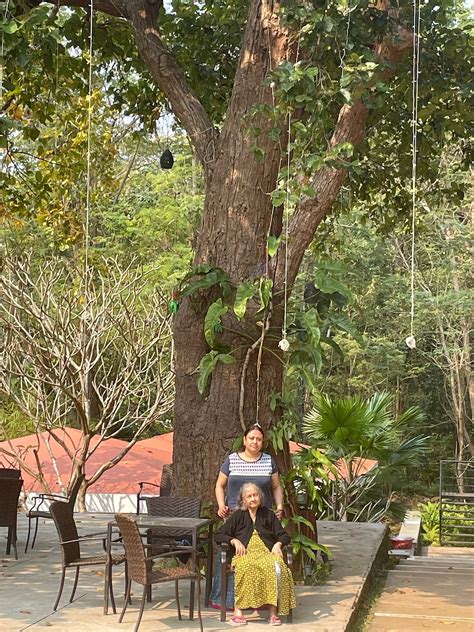 LULUNG ARANYA NIVAS RESORT (Baripada, Odisha) - Resort Reviews, Photos ...