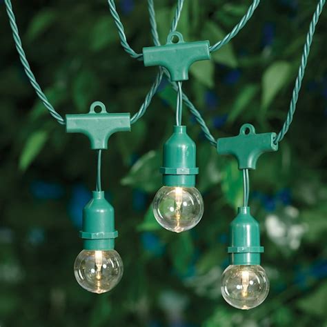 30-Count UL G40 Commercial Style Globe String Light Set, Green Wire