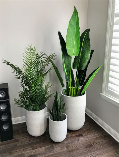 Large Artificial Plants Indoor Next at James Butcher blog