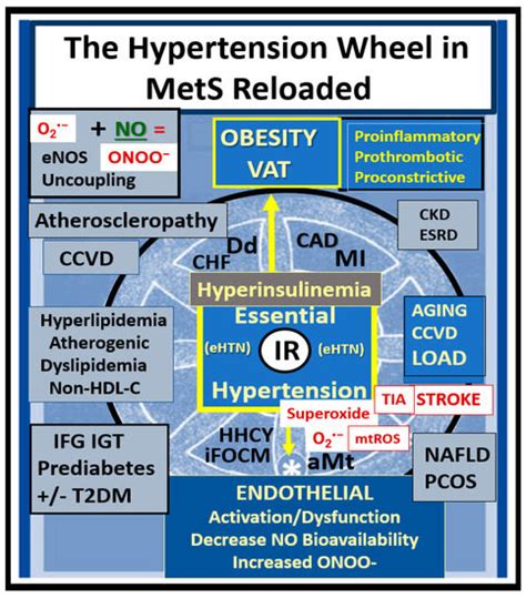 Overview and New Insights into the Metabolic Syndrome: Risk Factors and ...