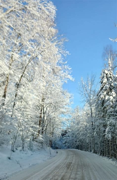 Open gathering for town groups and committees, Albany Public Library ...