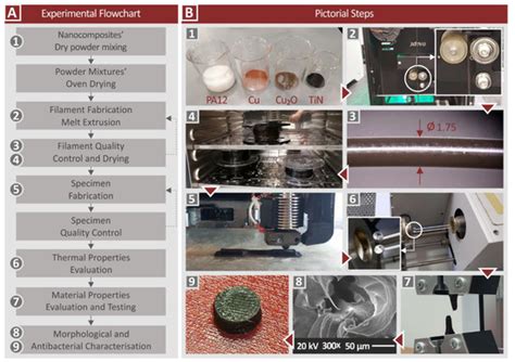 Trilateral Multi-Functional Polyamide 12 Nanocomposites with Binary ...