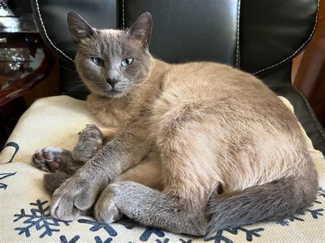 Isa Gomez | 💗#selfie | Instagram