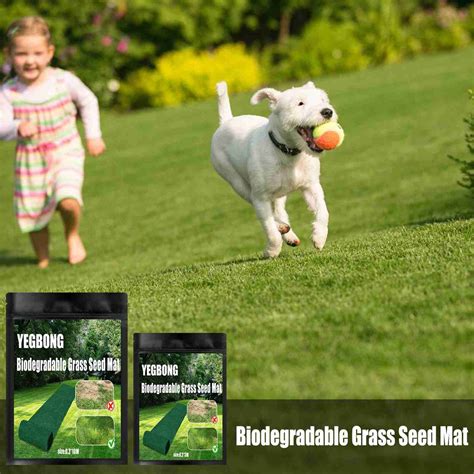 5 Best Grass Seed Mats to Roll Out a New Lawn - Mowing Magic