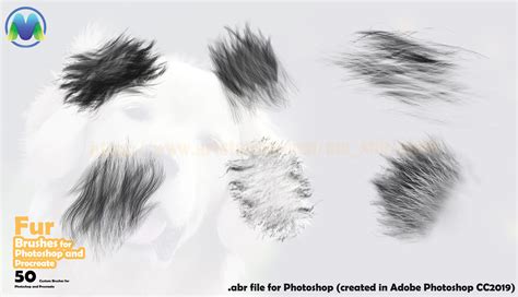 ArtStation - 50 Fur brushes for Photoshop and procreate | Brushes