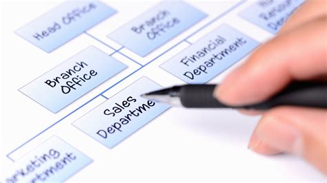 Divisional Structure Businesses Examples 的图像结果