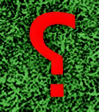 Image result for Wacky Wizards Random