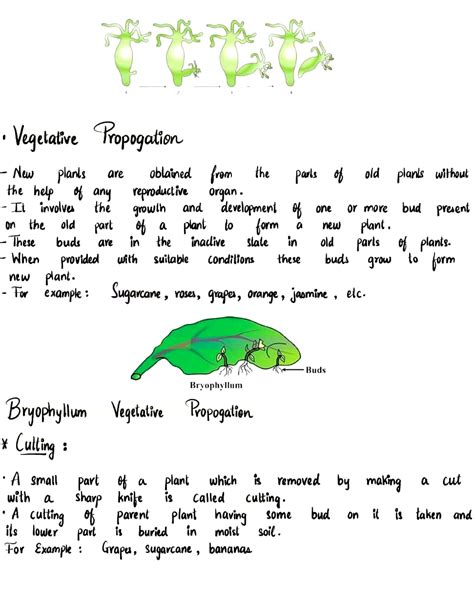 Class 10 Reproduction Notes 的图像结果