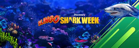 AMBIL SEKARANG