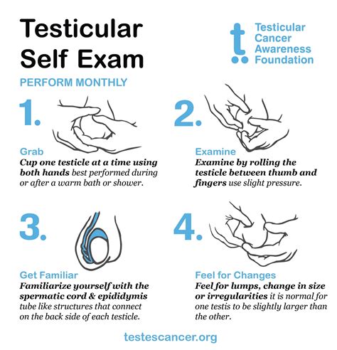 Testicular Lumps Signs & Symptoms — TCAF