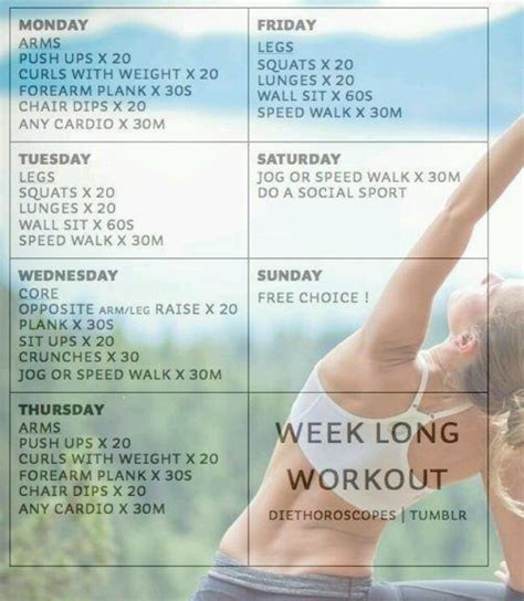 Exercise Program Example 的图像结果