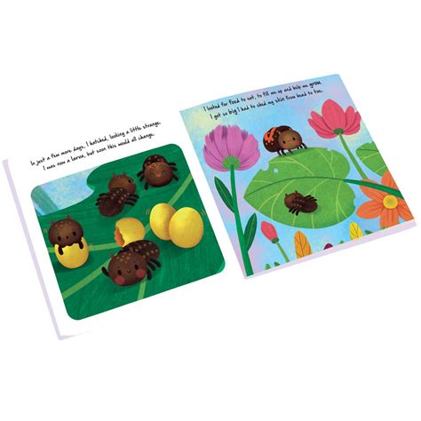 Little Ladybird | Discover An Amazing Story of Ladybird |Story Book ...