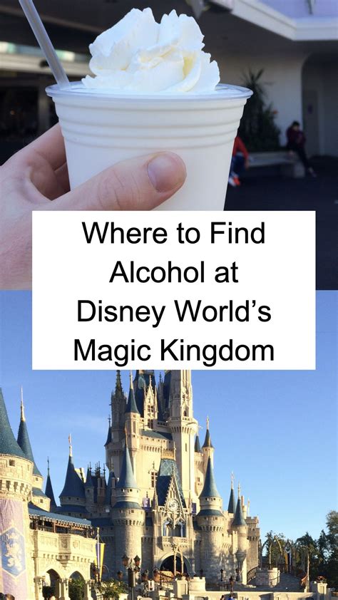 Trip preparation alcohol at the magic kingdom – Artofit