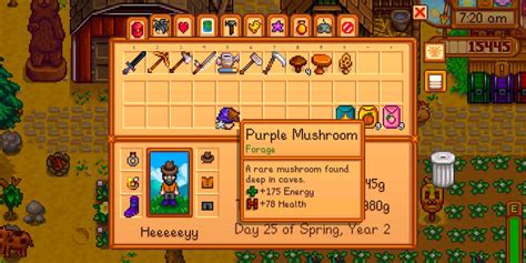 Stardew Valley: How to Get and Use Purple Mushroom