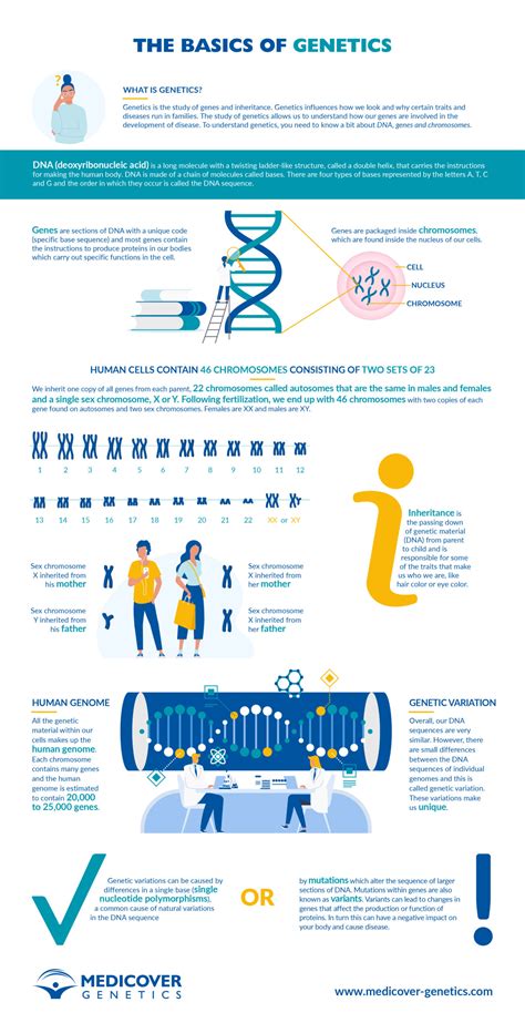 Genetics Basics 的图像结果